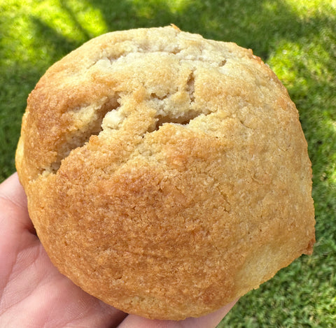 Sugar Free Coconut Cookie